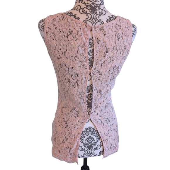 Aritzia Babaton Carter Blouse Glove Pink Lace Sheer Open Back Women's size Small - Picture 4 of 11